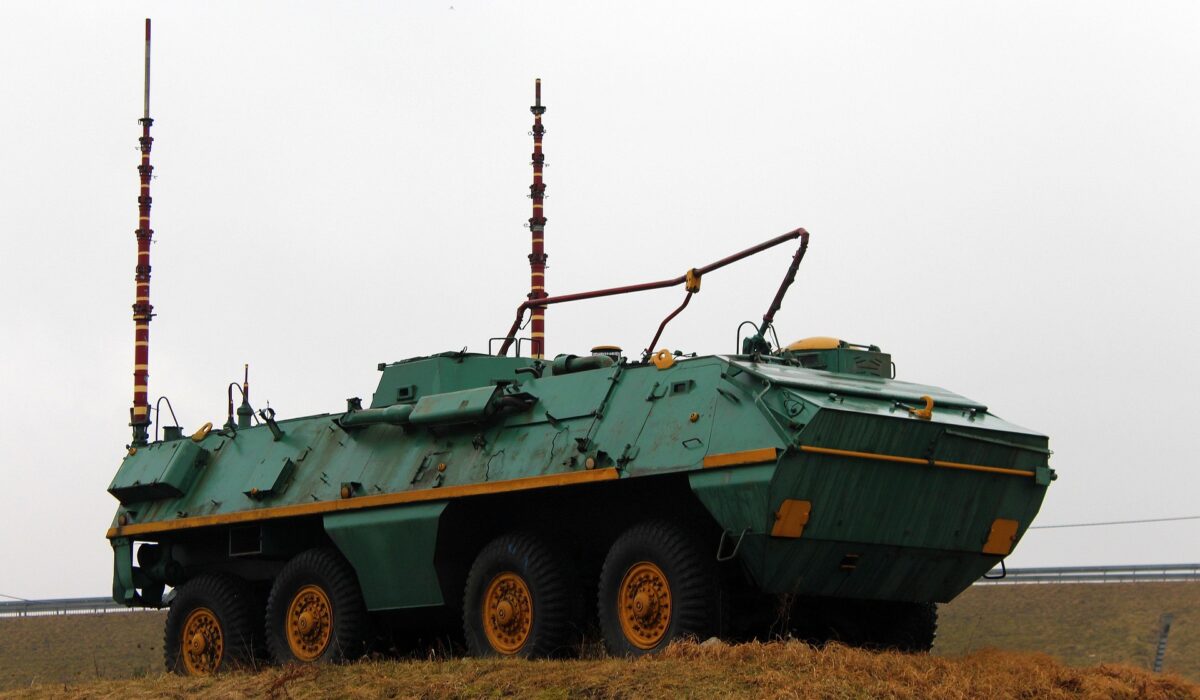 amphibian-3273745_1920